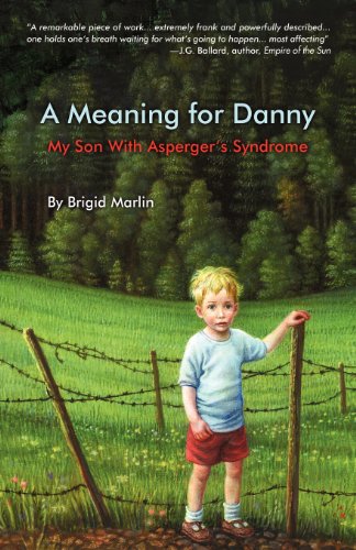 A Meaning for Danny - Book Cover